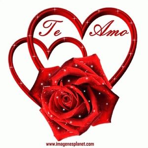 Meet your Posher, Leonarda